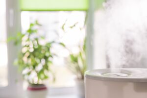 Air Purifiers