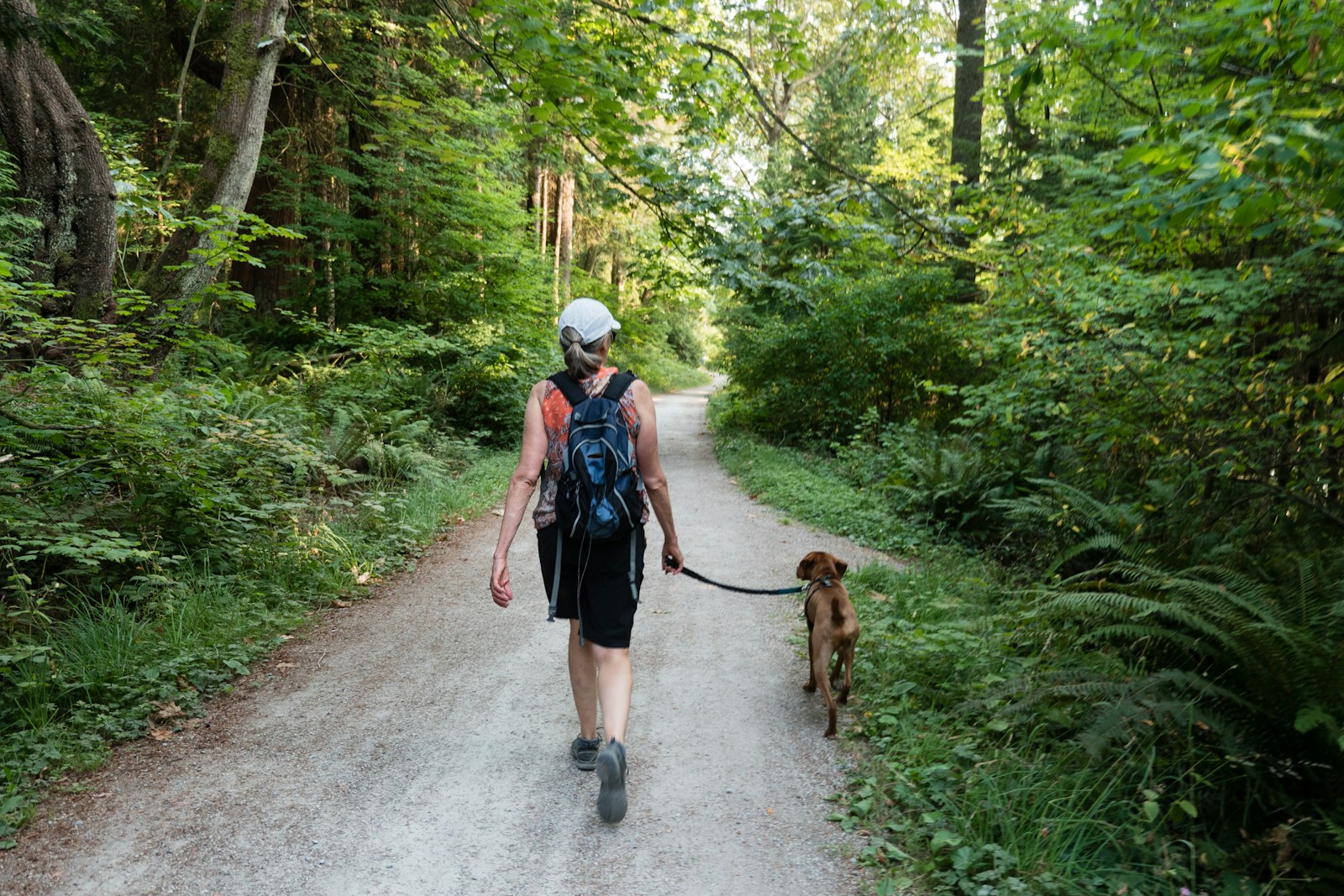 2 women walking on road with brown dog during daytime